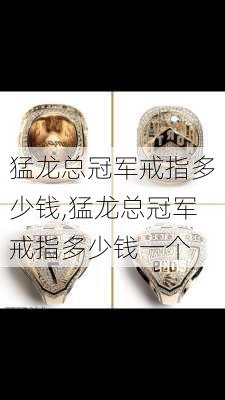 猛龙总冠军戒指多少钱,猛龙总冠军戒指多少钱一个