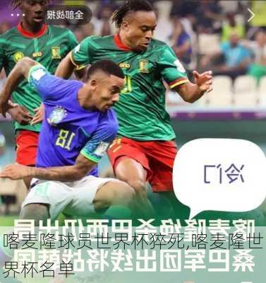 喀麦隆球员世界杯猝死,喀麦隆世界杯名单