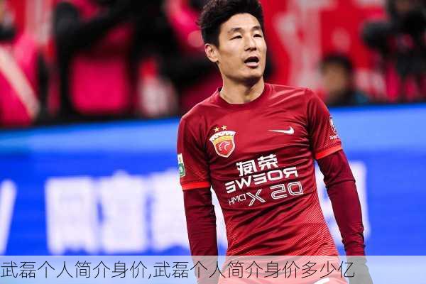 武磊个人简介身价,武磊个人简介身价多少亿