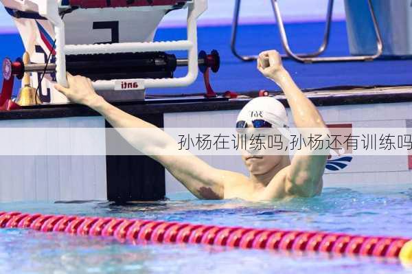 孙杨在训练吗,孙杨还有训练吗