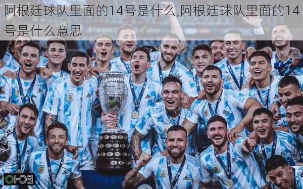 阿根廷球队里面的14号是什么,阿根廷球队里面的14号是什么意思