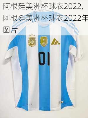 阿根廷美洲杯球衣2022,阿根廷美洲杯球衣2022年图片