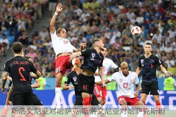 斯洛文尼亚对哈萨克,斯洛文尼亚对哈萨克斯坦