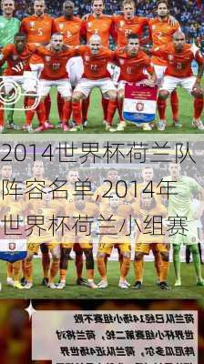 2014世界杯荷兰队阵容名单,2014年世界杯荷兰小组赛
