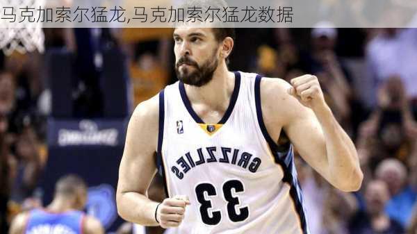 马克加索尔猛龙,马克加索尔猛龙数据