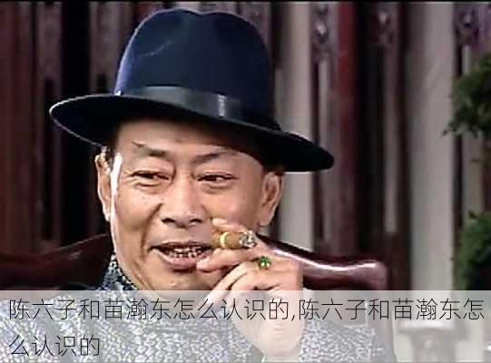 陈六子和苗瀚东怎么认识的,陈六子和苗瀚东怎么认识的