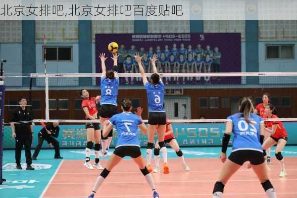 北京女排吧,北京女排吧百度贴吧