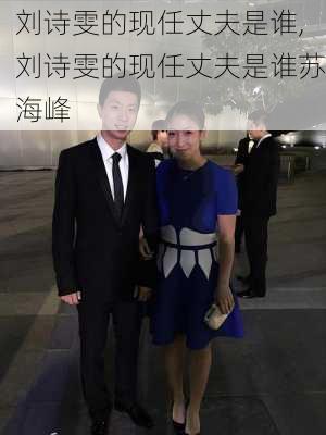 刘诗雯的现任丈夫是谁,刘诗雯的现任丈夫是谁苏海峰