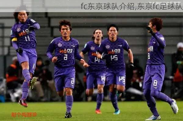 fc东京球队介绍,东京fc足球队