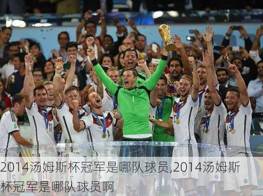 2014汤姆斯杯冠军是哪队球员,2014汤姆斯杯冠军是哪队球员啊
