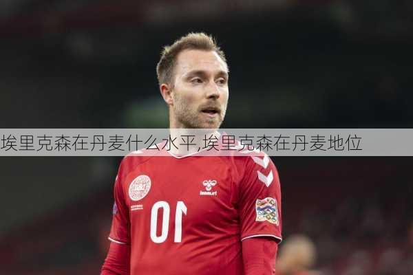 埃里克森在丹麦什么水平,埃里克森在丹麦地位