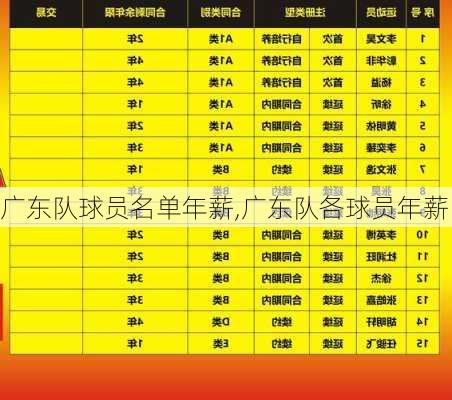 广东队球员名单年薪,广东队各球员年薪