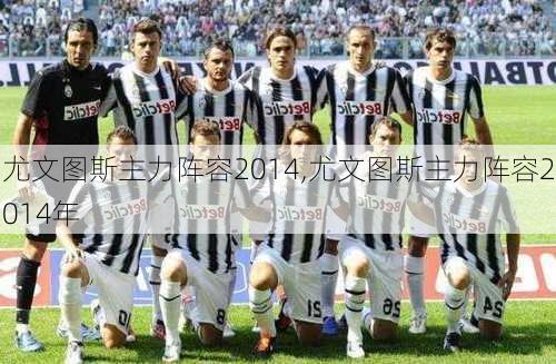 尤文图斯主力阵容2014,尤文图斯主力阵容2014年