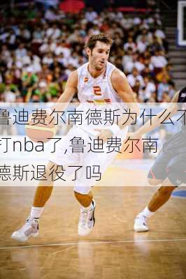 鲁迪费尔南德斯为什么不打nba了,鲁迪费尔南德斯退役了吗