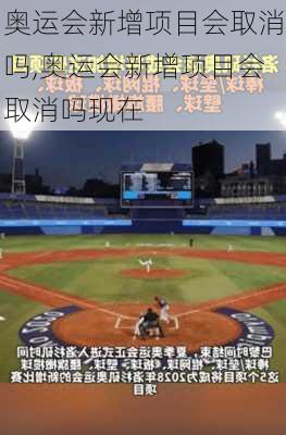 奥运会新增项目会取消吗,奥运会新增项目会取消吗现在
