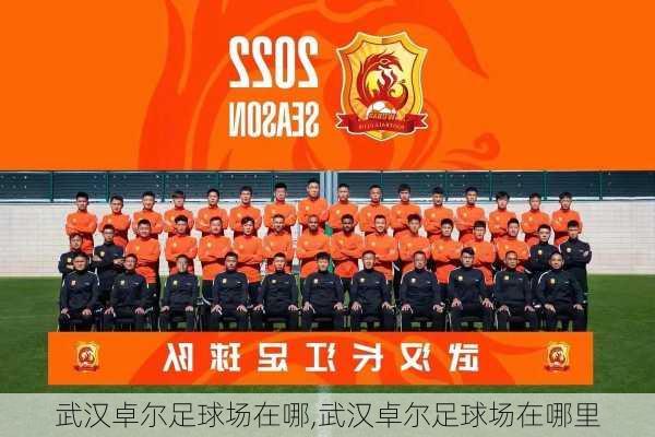 武汉卓尔足球场在哪,武汉卓尔足球场在哪里