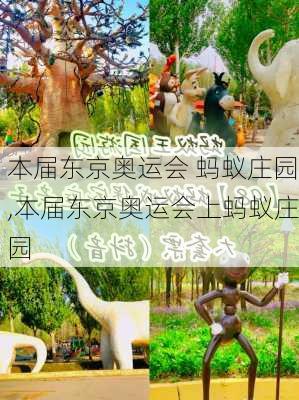 本届东京奥运会 蚂蚁庄园,本届东京奥运会上蚂蚁庄园