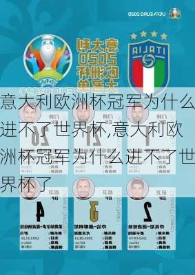 意大利欧洲杯冠军为什么进不了世界杯,意大利欧洲杯冠军为什么进不了世界杯了