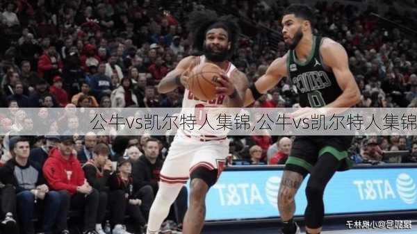 公牛vs凯尔特人集锦,公牛vs凯尔特人集锦