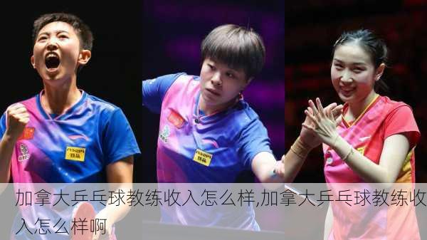 加拿大乒乓球教练收入怎么样,加拿大乒乓球教练收入怎么样啊