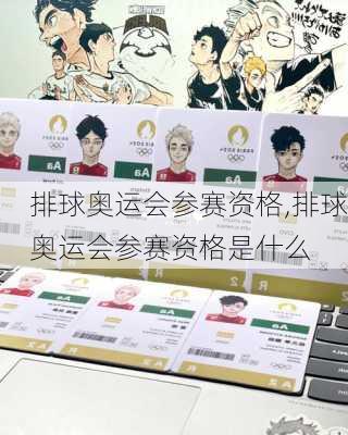 排球奥运会参赛资格,排球奥运会参赛资格是什么
