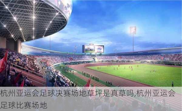 杭州亚运会足球决赛场地草坪是真草吗,杭州亚运会足球比赛场地