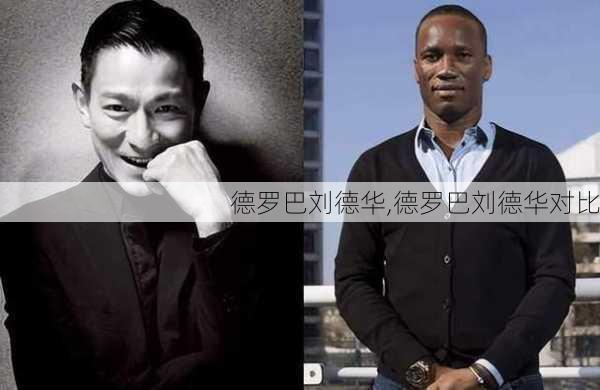 德罗巴刘德华,德罗巴刘德华对比