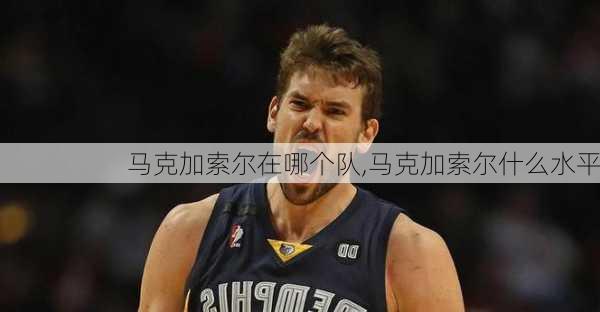 马克加索尔在哪个队,马克加索尔什么水平