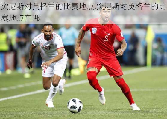 突尼斯对英格兰的比赛地点,突尼斯对英格兰的比赛地点在哪