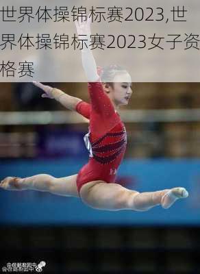 世界体操锦标赛2023,世界体操锦标赛2023女子资格赛