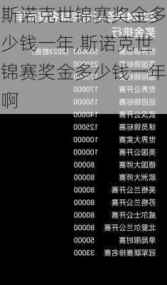 斯诺克世锦赛奖金多少钱一年,斯诺克世锦赛奖金多少钱一年啊