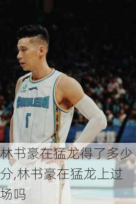林书豪在猛龙得了多少分,林书豪在猛龙上过场吗