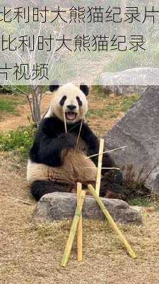 比利时大熊猫纪录片,比利时大熊猫纪录片视频