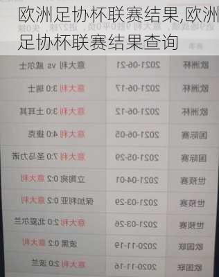 欧洲足协杯联赛结果,欧洲足协杯联赛结果查询
