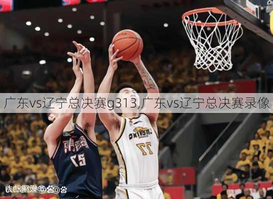 广东vs辽宁总决赛g313,广东vs辽宁总决赛录像
