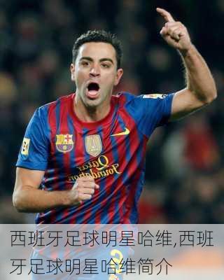 西班牙足球明星哈维,西班牙足球明星哈维简介