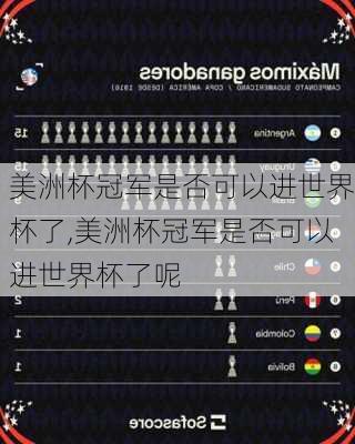 美洲杯冠军是否可以进世界杯了,美洲杯冠军是否可以进世界杯了呢