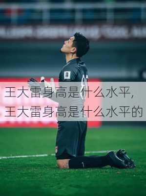 王大雷身高是什么水平,王大雷身高是什么水平的