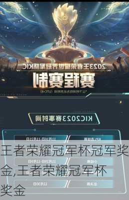 王者荣耀冠军杯冠军奖金,王者荣耀冠军杯 奖金