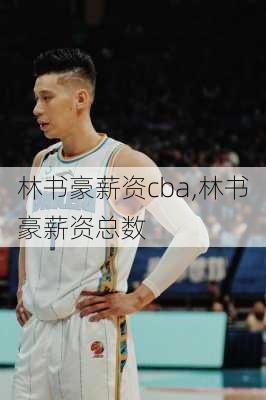 林书豪薪资cba,林书豪薪资总数