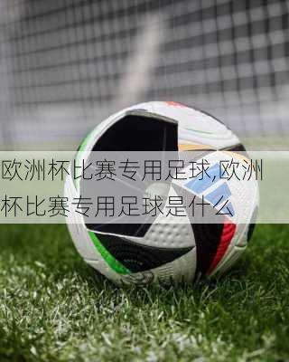 欧洲杯比赛专用足球,欧洲杯比赛专用足球是什么