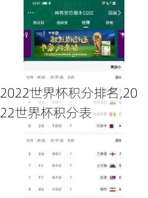2022世界杯积分排名,2022世界杯积分表