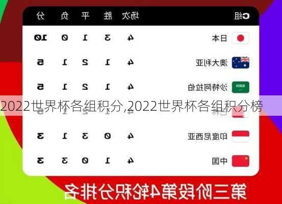 2022世界杯各组积分,2022世界杯各组积分榜