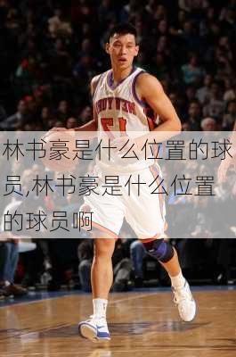 林书豪是什么位置的球员,林书豪是什么位置的球员啊