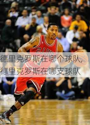 德里克罗斯在哪个球队,德里克罗斯在哪支球队