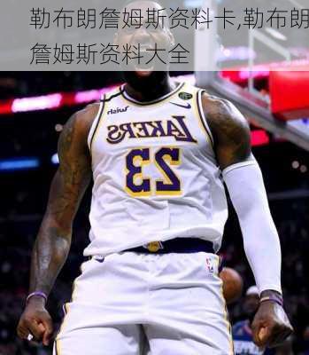 勒布朗詹姆斯资料卡,勒布朗詹姆斯资料大全