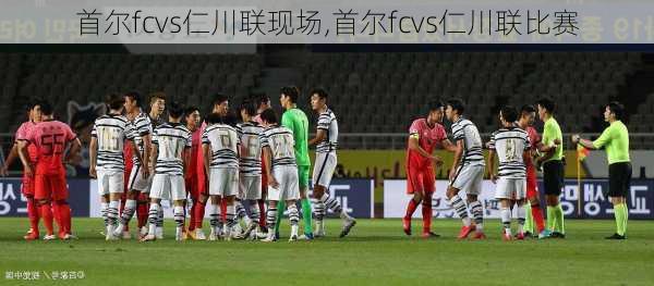 首尔fcvs仁川联现场,首尔fcvs仁川联比赛
