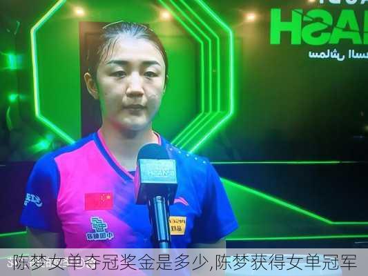 陈梦女单夺冠奖金是多少,陈梦获得女单冠军