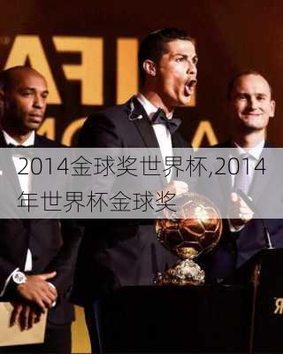 2014金球奖世界杯,2014年世界杯金球奖
