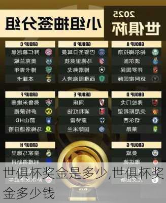 世俱杯奖金是多少,世俱杯奖金多少钱